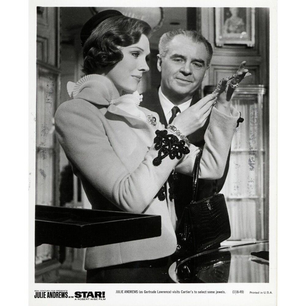 Julie Andrews 8x10 PHOTOGRAPH STAR Movie 1962 Still Press